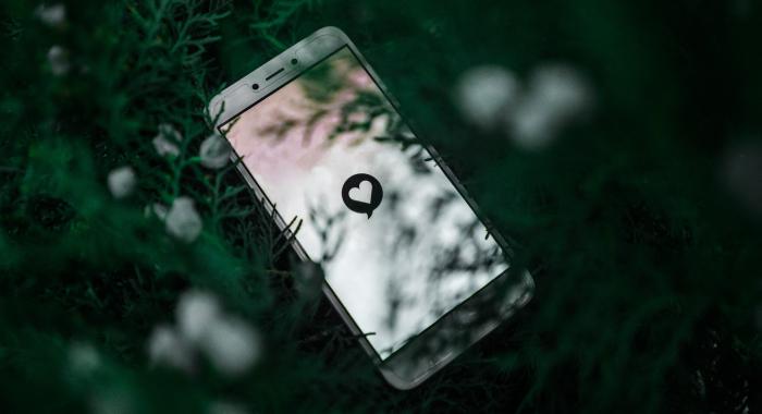 phone in a bush with a picture of a heart on the screen